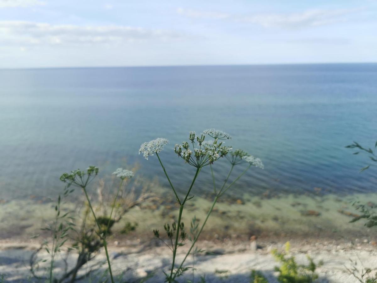 Nordic Bo - Wellen, Wald und wilde Küste Surendorf Exterior foto