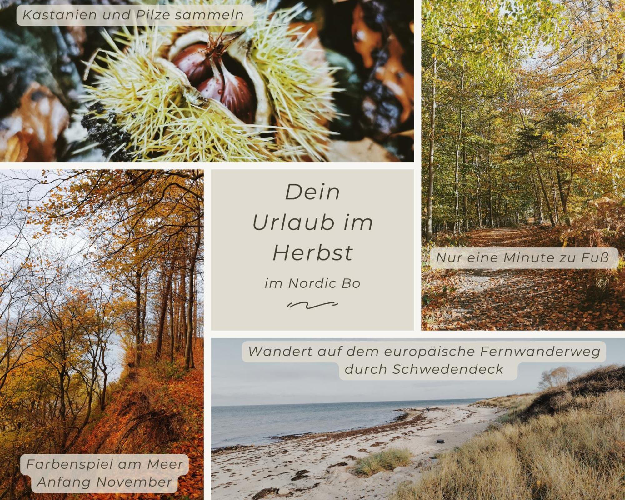 Nordic Bo - Wellen, Wald und wilde Küste Surendorf Exterior foto